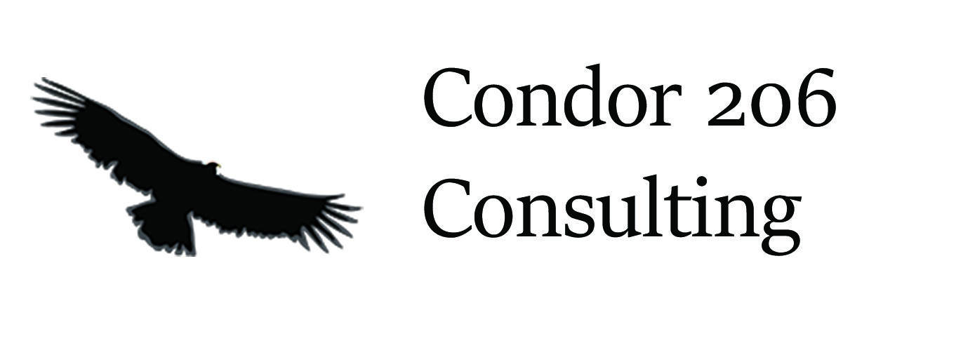 Condor 206 Consulting